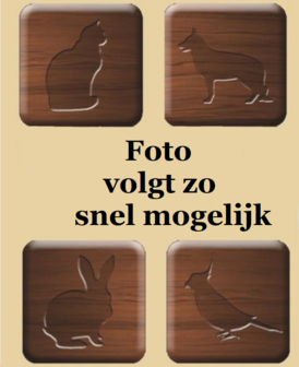 Houten Zitstok Met Dop, 10 mm, 35 cm, per 2