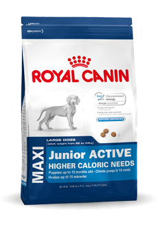 Royal Canin Maxi Junior 15 kg