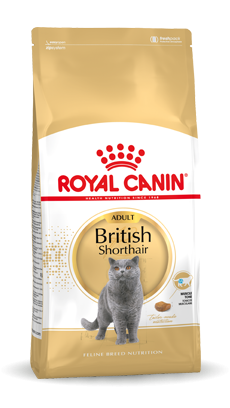 Royal Canin Kat British Shorthair Adult 10 kg